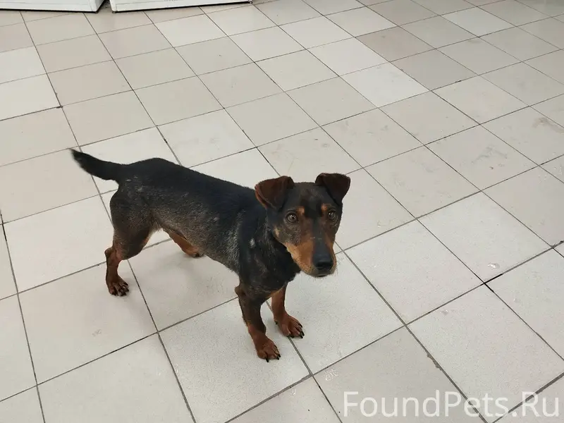 На перекрестке ул. Советская -...