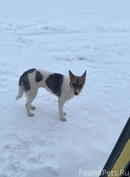 ЖД, татар базар 🆘🆘🆘 Но уже...
