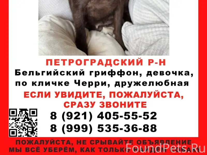 ❗️Петроградский район, СПБ Пот...