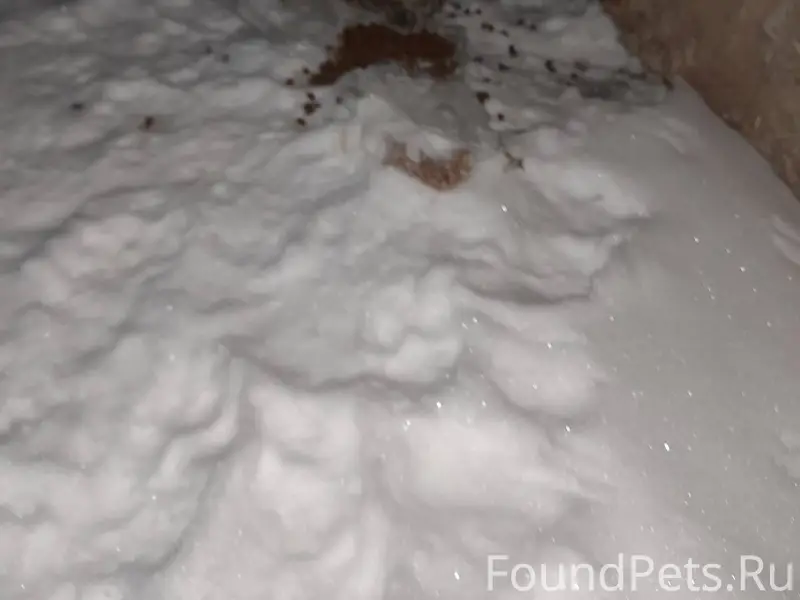 Во дворах на ул. Архангельская...