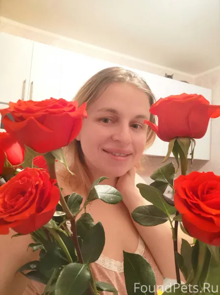 Найдите кошку на фото 🤣