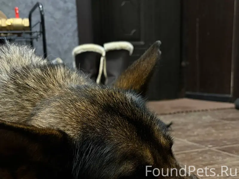 Здравствуйте! Вчера, на трассе...