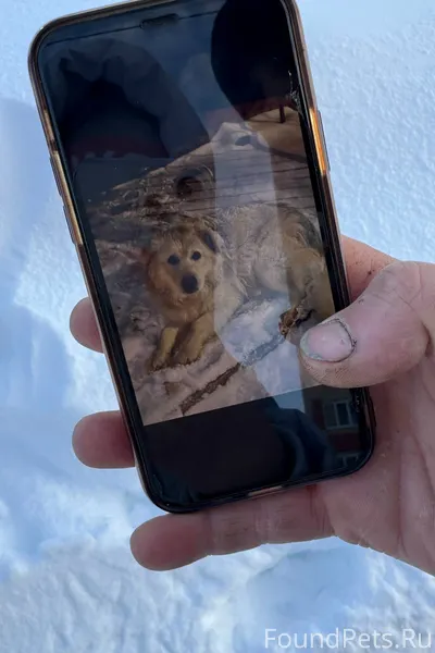 Г. Саранск, юго-запад. Сегодня...