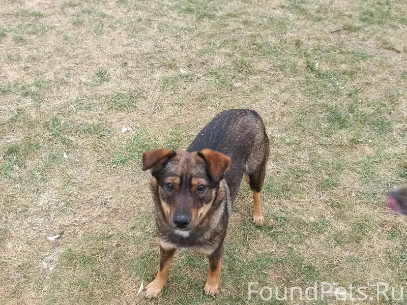 ПОМОГИТЕ НАЙТИ ЖУЛЮ!!! Мы ещё ...