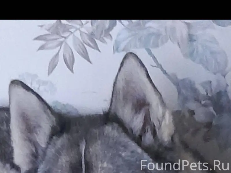 Всем доброго времени суток. Пр...