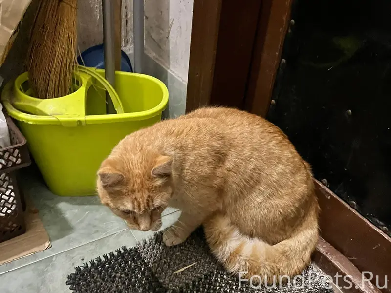 На Комиссарова, в районе домов...