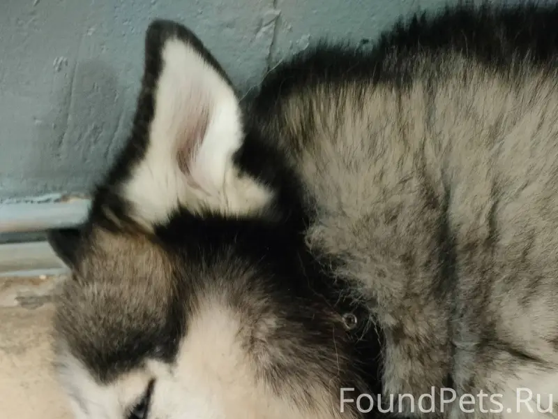 На вокзале г. Конаково второй ...