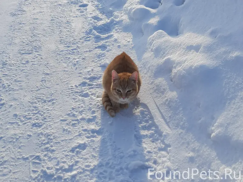 02.02.26 около 15:30...