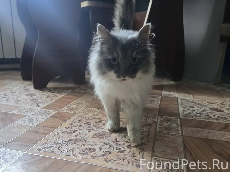 Доброго времени суток. ПРЕБЛУД...