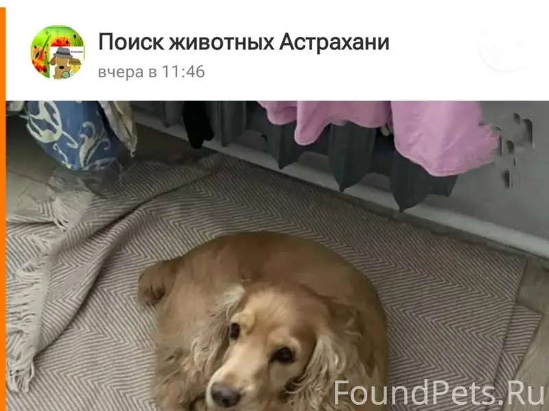 Астрахань!!! Аууууууу.... Найд...