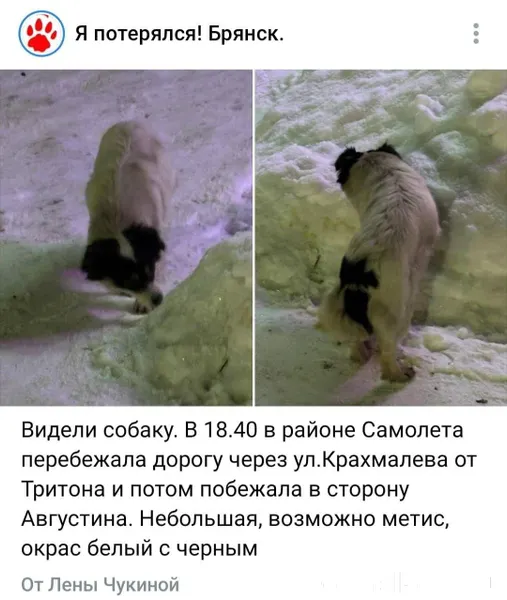 Нужна помощь в поиске и поимке...