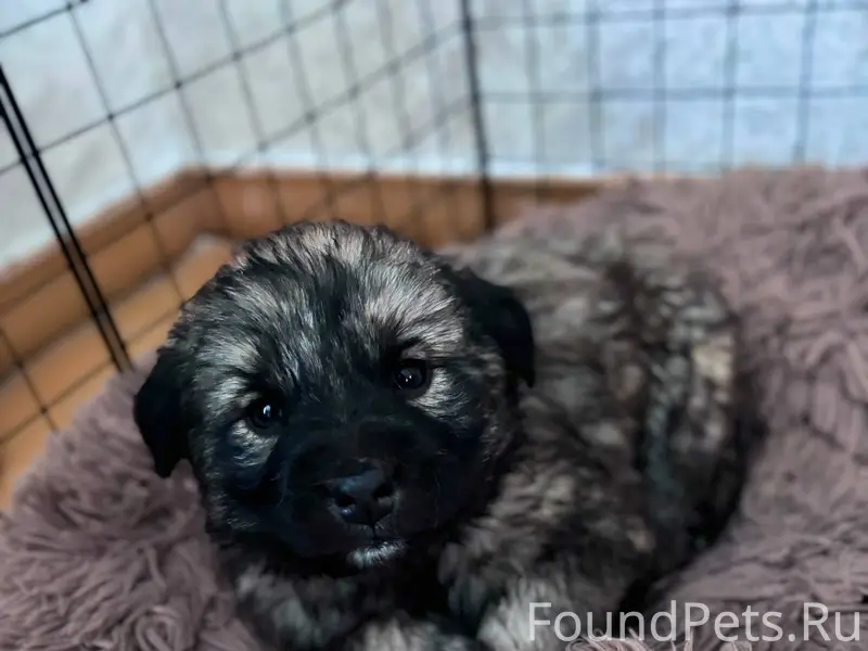 Здравствуйте, опубликуйте пожа...