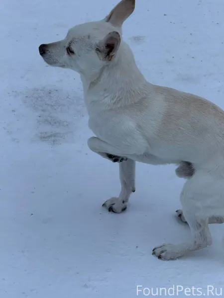 Ревда Из предложки (пост посту...