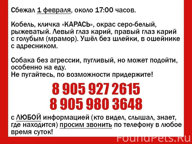 ‼‼ ПОМОГИТЕ НАЙТИ НАШЕГО ДРУГА...