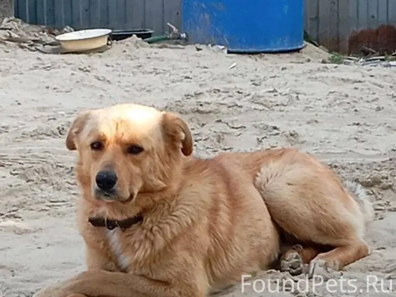 Опубликуйте пожалуйста 🙏 С сон...