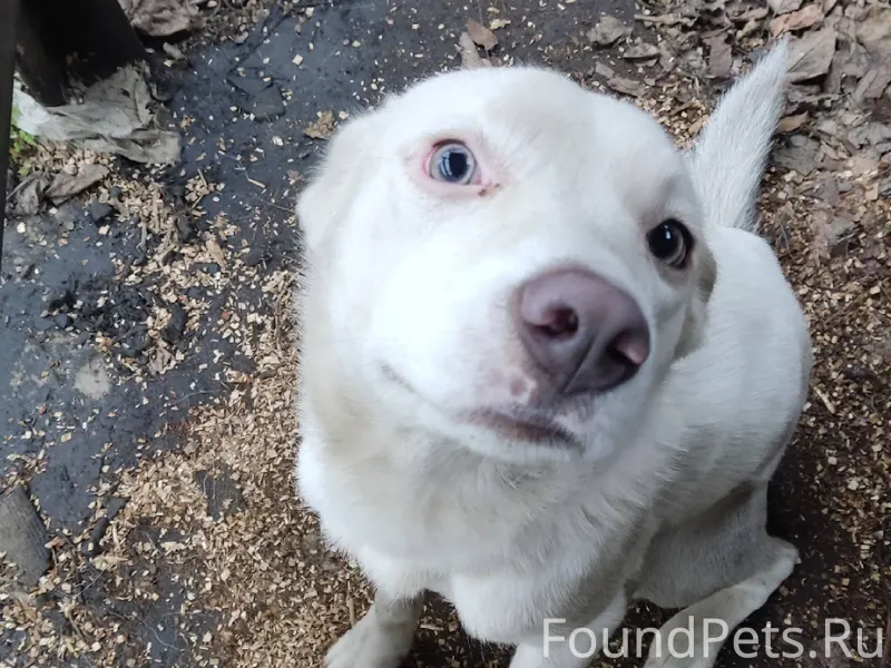 Друзья максимальный репост💯💯💯Д...