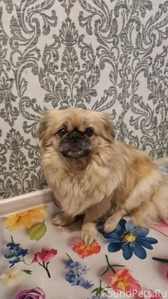 Добрый вечер! Очень нужна помо...