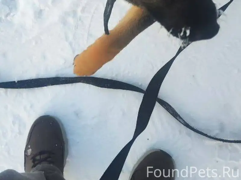 Всем добрый день. По городу бе...