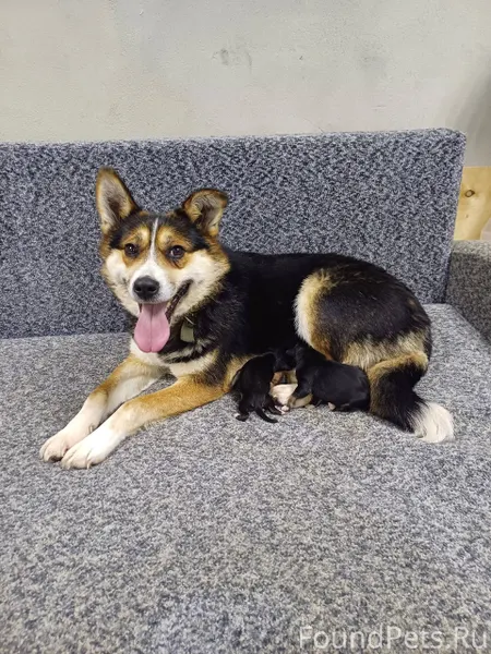 Как говорят,земля круглая... И...