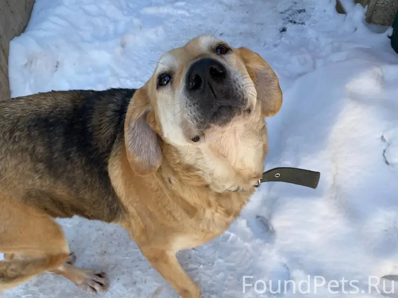 Добрый день! Пожалуйста, опубл...