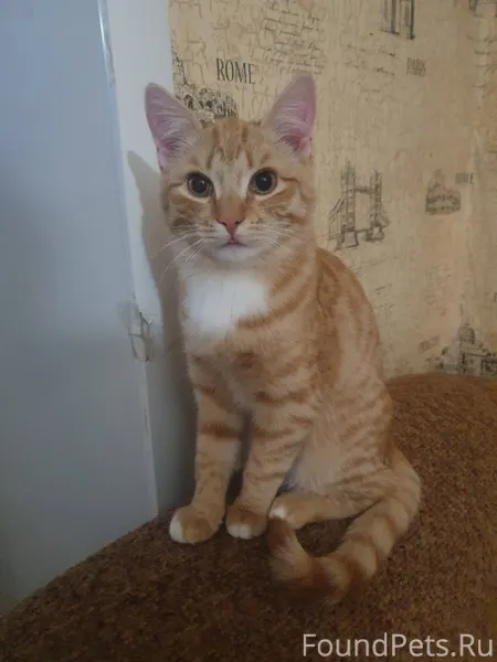 Всем доброго времени суток Пот...