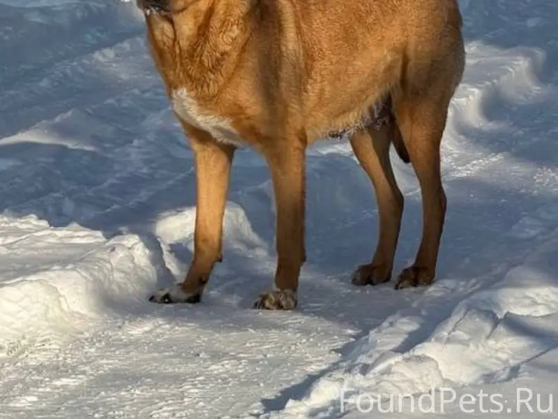 ‼️Иваново и область ‼️ Найдена...