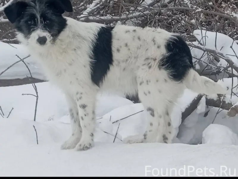 Срочно нужна помощь!!! Если кт...