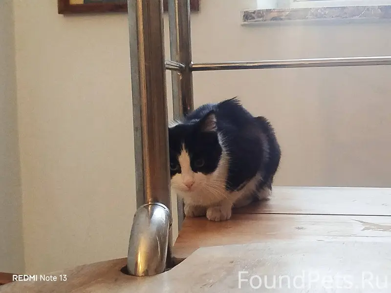 Вчера 3.02.26 в районе...