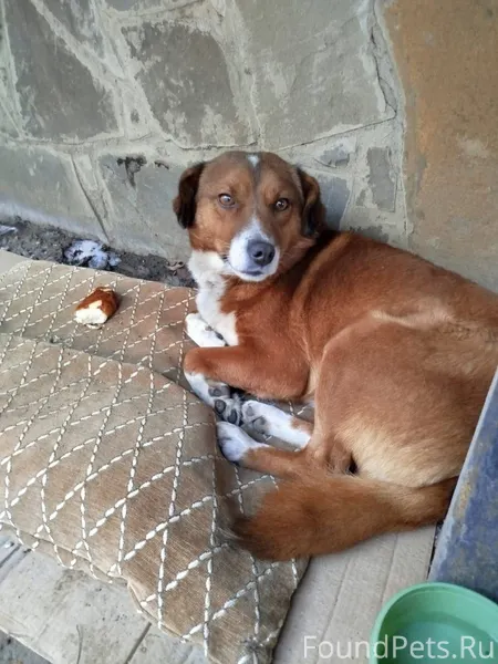 ⚠️⚠️⚠️Краснодар ! Срочно❗ Вот ...