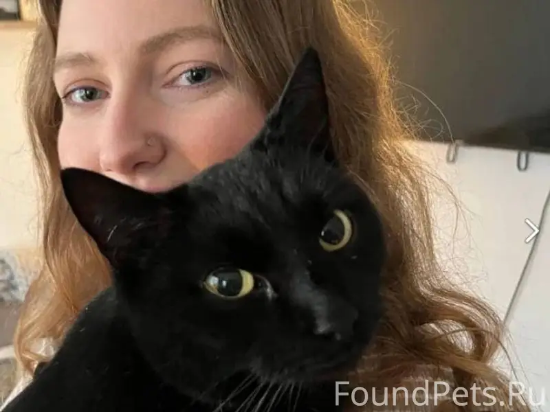 #разговоры_размышлизмы😾😽😹😿😾😽😿😹...