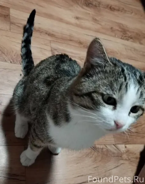 Очень странные дела.... В парк...