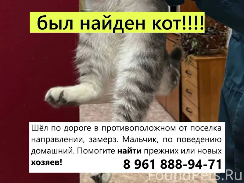 Друзья, 04.02 рядом с поселком...