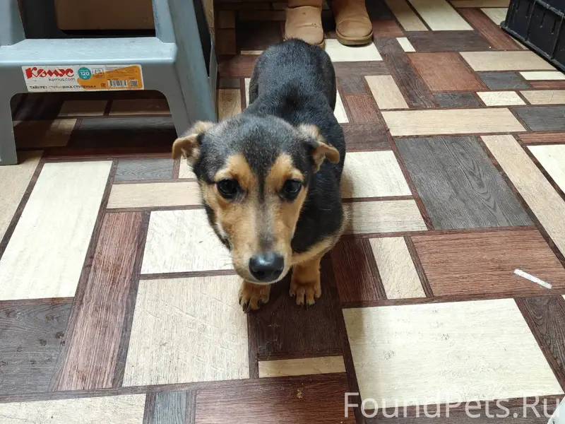 ВНИМАНИЕ ВСЕМ ПОСТАМ!! НАЙДЕН ...