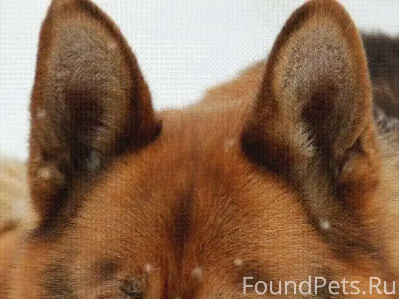 Кимры. В центре у памятника Ле...