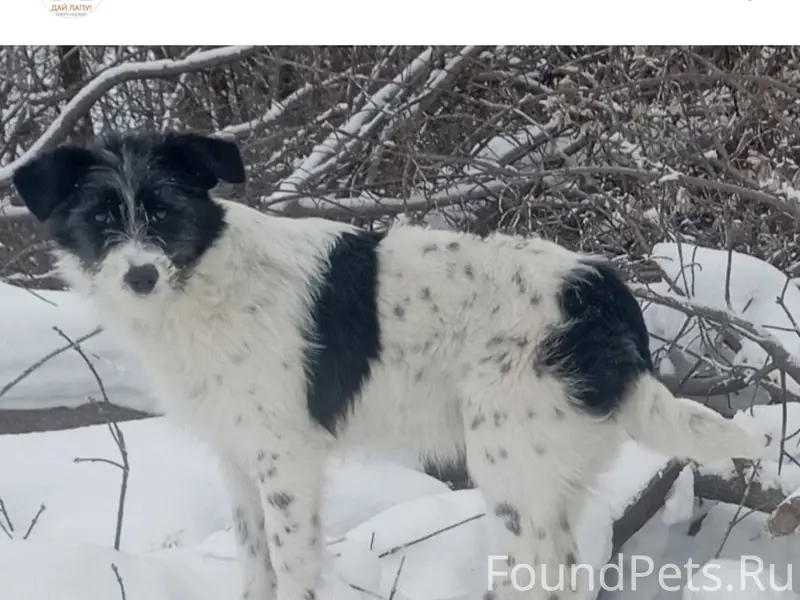 Пожалуйста, помогите найти 😭🙏 ...
