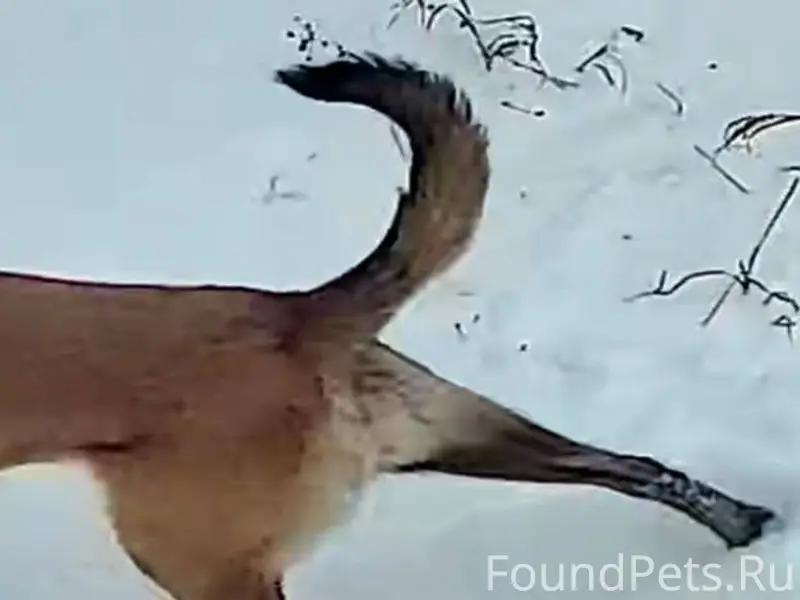 В п. Еленинка, Карталинского р...