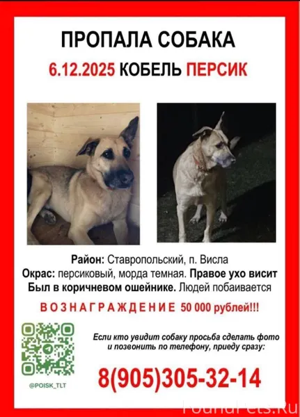 Репост ❗Тольятти❗ Помогите най...