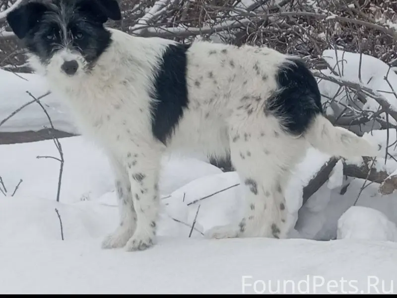 Срочно нужна помощь!!! Если кт...