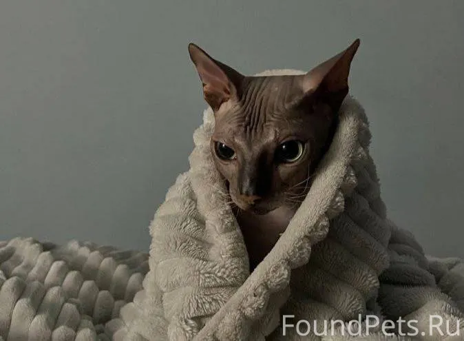 Вчера в моей жизни случилось с...