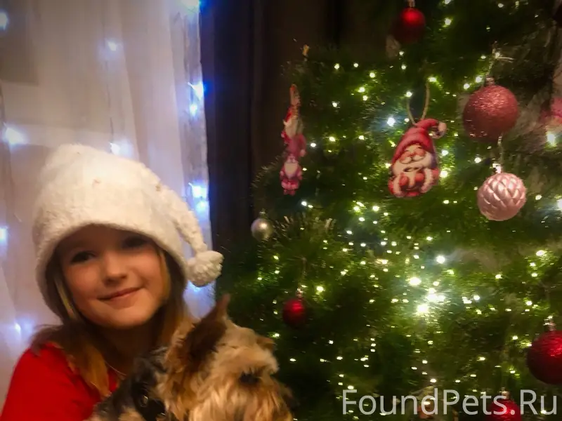 Сегодня вечером на улице в рай...