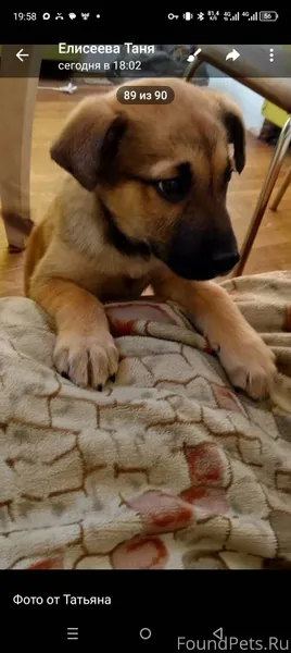 Добрый вечер, несколько дней н...