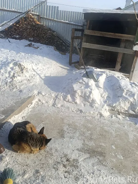 Здравствуйте. С района Шишковк...