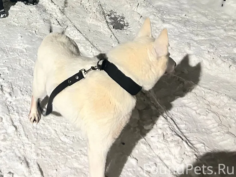 ПОМОГАЕМ ИНФОРМАЦИОННО Пропала...