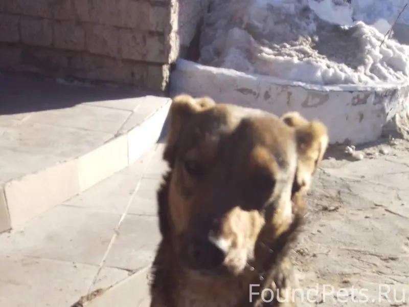 Волгоград.Краснооктябрьский ра...