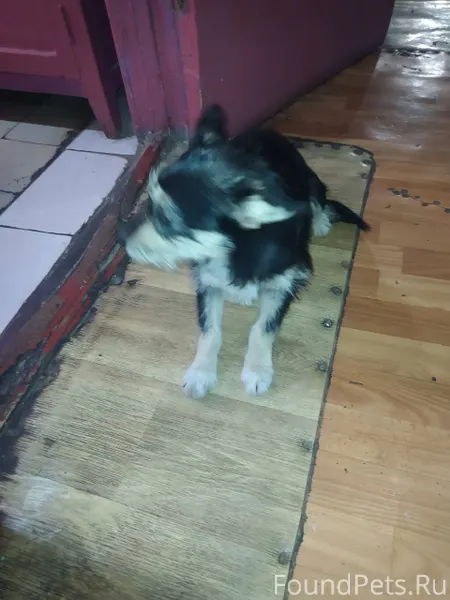 Брянск, Бежицкий район. Найден...