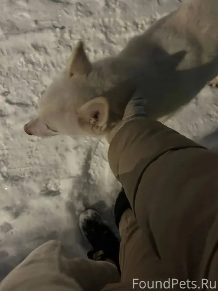 Всем доброго дня! Вчера вечеро...