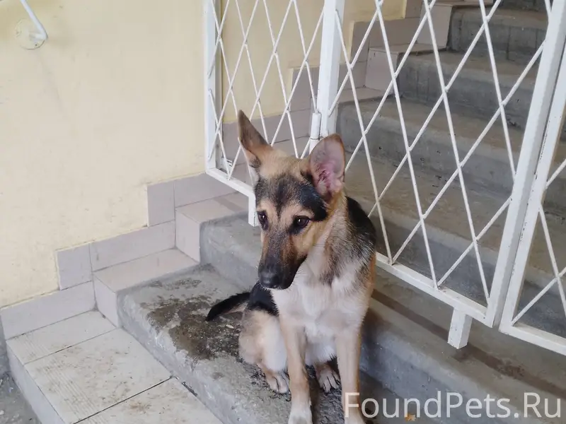 Помогаю информационно! Возле м...