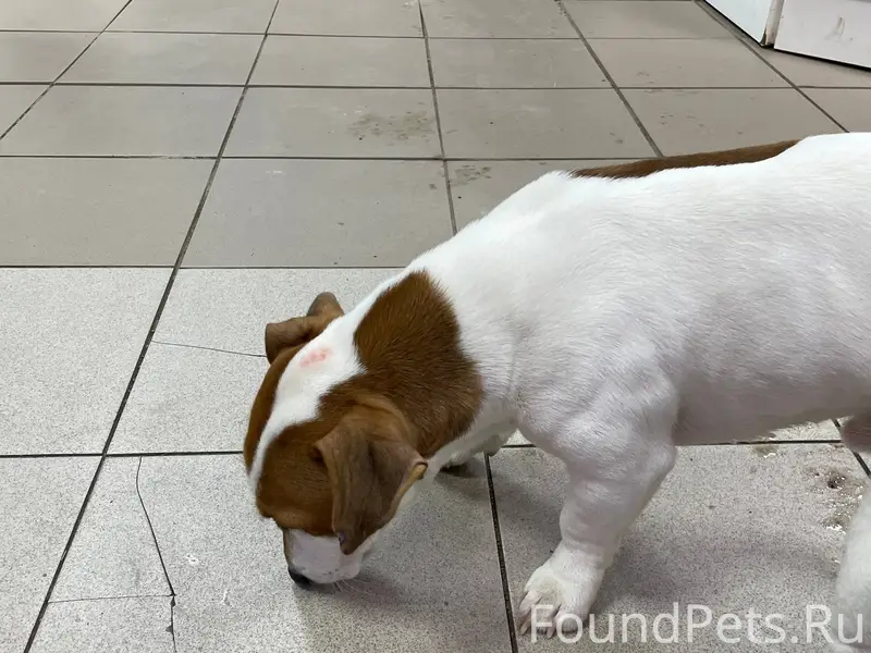 На садовой, возле Валентина Ст...