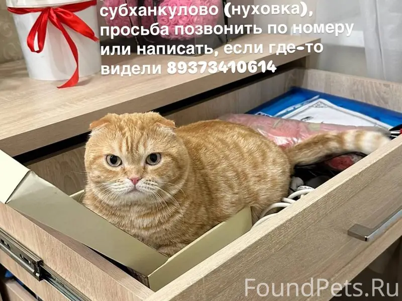 Село старое Субханкулово (нухо...