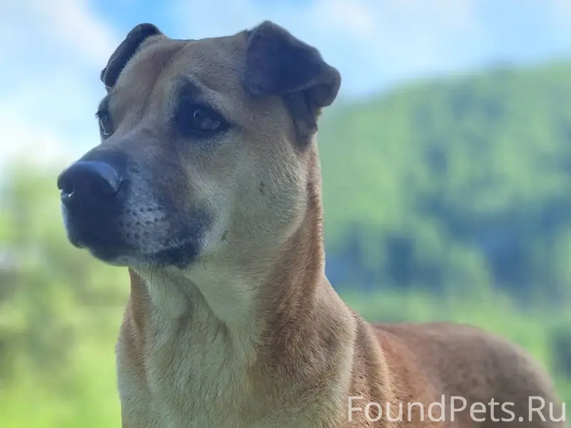 Друзья, крик о помощи! Потерял...